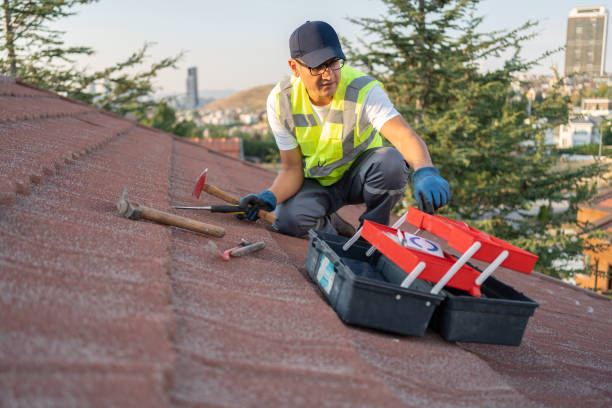 Best Fascia and Soffit Installation  in Westminster, LA